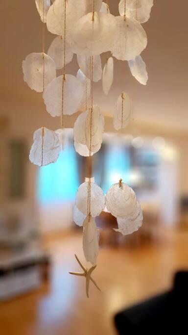 Ellity Apartment ซริกเวนิซา ภายนอก รูปภาพ